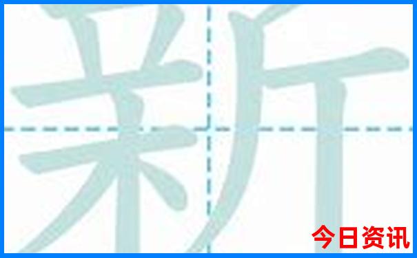 参加旅游团怎么报名